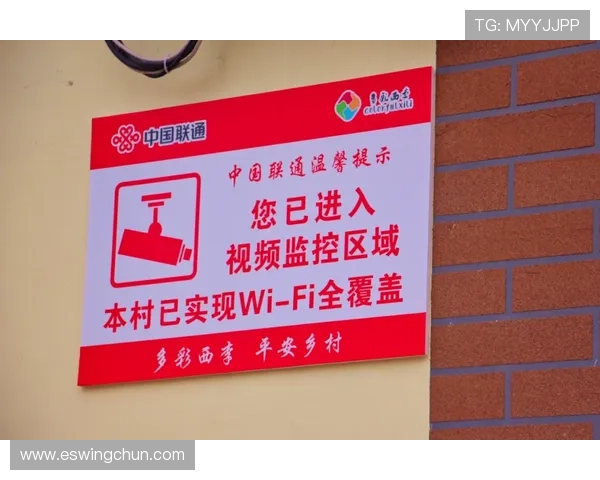 速盈官方手机版全面解析，带你了解投资的智慧与乐趣